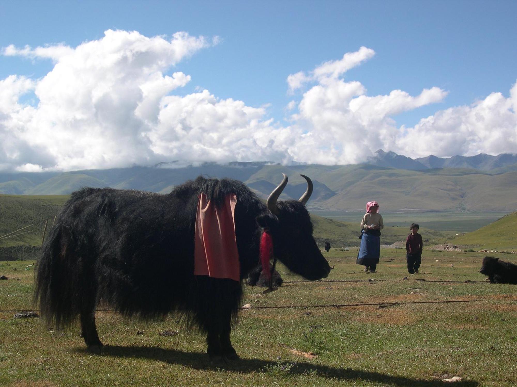B&B Piccolo Tibet Lavenone Екстер'єр фото